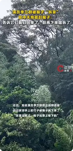 李立群隐居山村后被猴子拆家