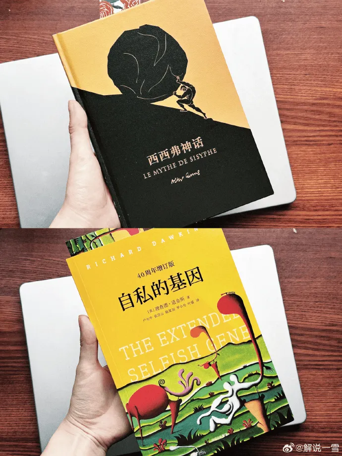 高中黑道模拟器